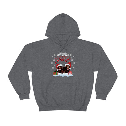 I Believe Christmas Hoodie